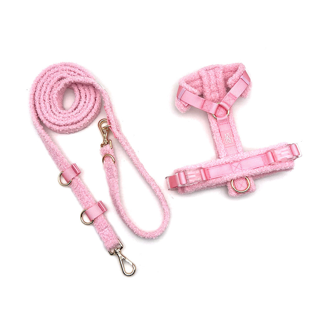 Set Ham și Lesă Teddy Roz pentru Câini