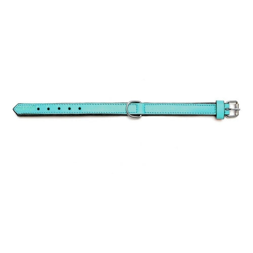 Zgardă Câine Gloria Padded Turcoaz – Piele, Căptușită, 45x2 cm