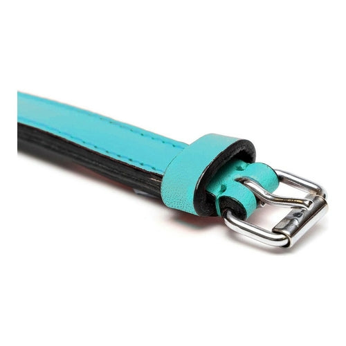 Zgardă Câine Gloria Padded Turcoaz – Piele, Căptușită, 45x2 cm