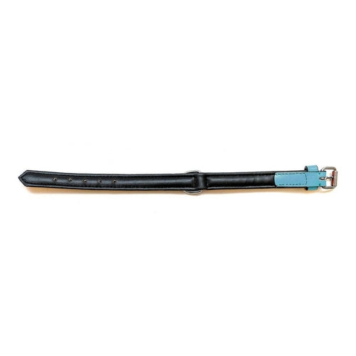 Zgardă Câine Gloria Padded Turcoaz – Piele, Căptușită, 45x2 cm