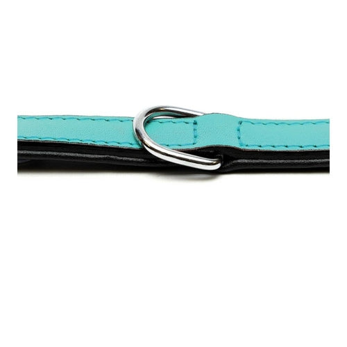 Zgardă Câine Gloria Padded Turcoaz – Piele, Căptușită, 45x2 cm