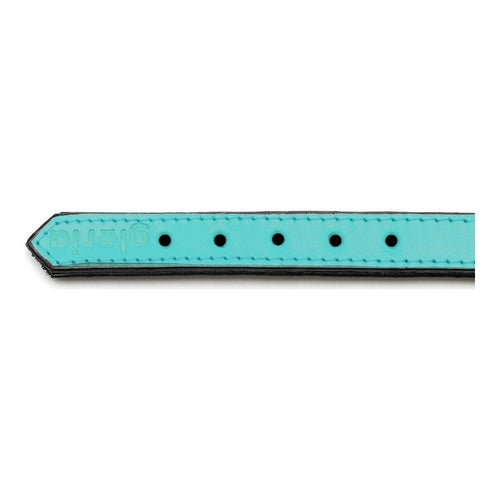 Zgardă Câine Gloria Padded Turcoaz – Piele, Căptușită, 45x2 cm