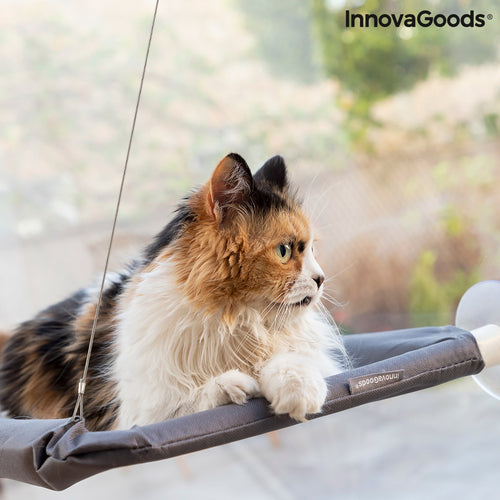 Hamac suspendat pentru pisici Catlax InnovaGoods – ventuze puternice, max. 30 kg