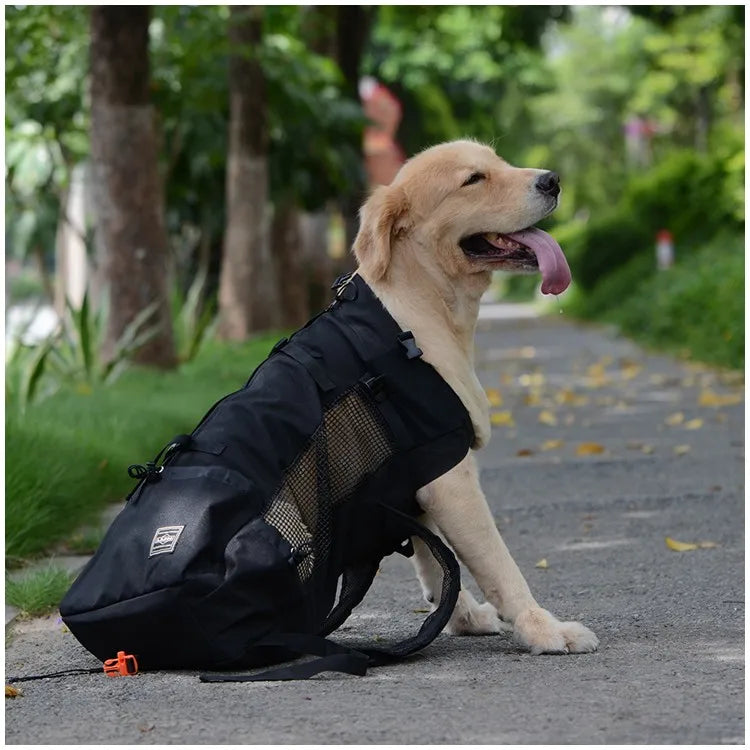 Rucsac Transport Caini Bicicleta Motocicleta – Plasa Respirabila, Sport Outdoor