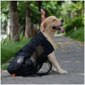 Rucsac Transport Caini Bicicleta Motocicleta – Plasa Respirabila, Sport Outdoor