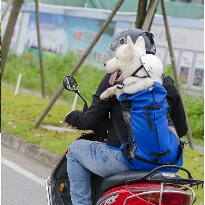 Rucsac Transport Caini Bicicleta Motocicleta – Plasa Respirabila, Sport Outdoor