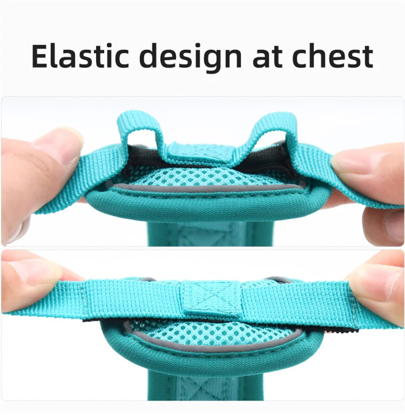 Set Ham + Lesa Reflectorizant Mesh XLeiPet – Respirabil, Pisici si Caini Mici, Primavara/Vara