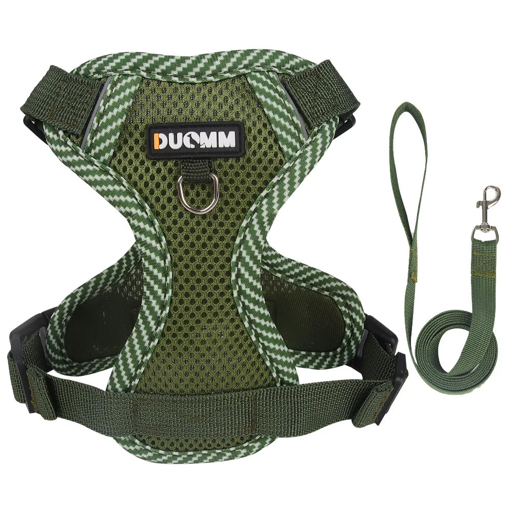 Set Ham + Lesa Reflectorizant Mesh XLeiPet – Respirabil, Pisici si Caini Mici, Primavara/Vara