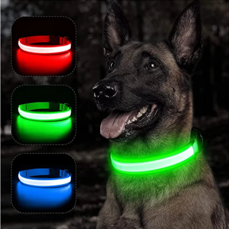 Zgarda luminoasa LED USB reincarcabila caini pisici siguranta noapte COOYOMOO