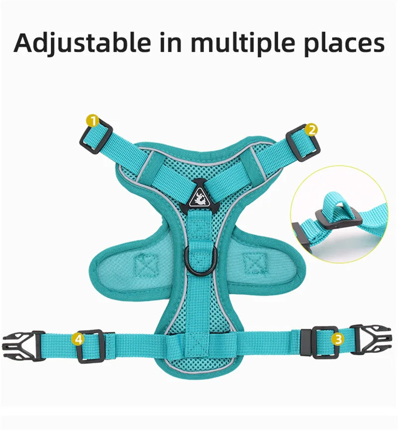 Set Ham + Lesa Reflectorizant Mesh XLeiPet – Respirabil, Pisici si Caini Mici, Primavara/Vara