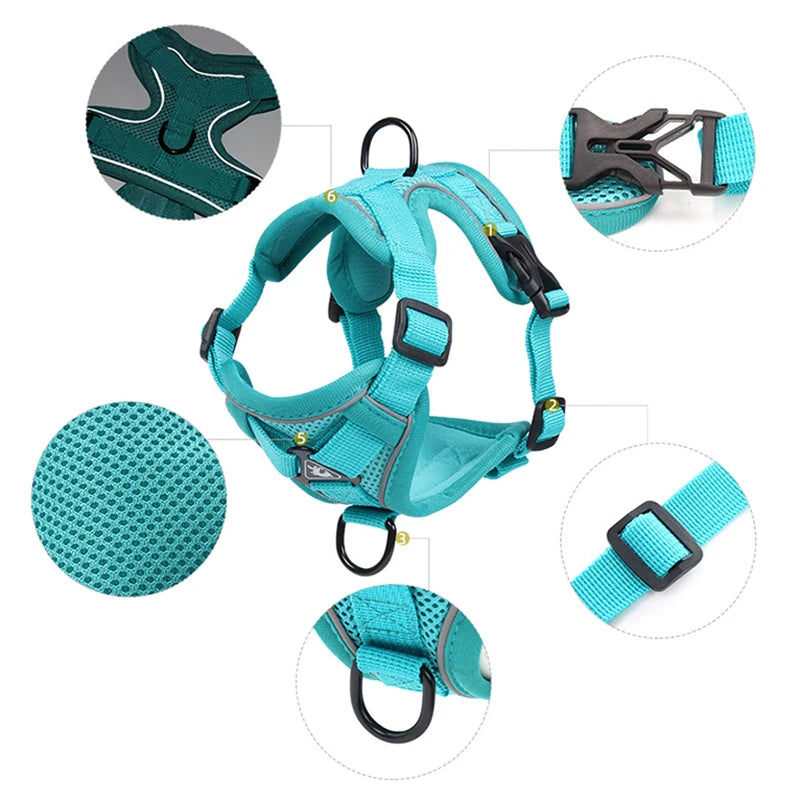 Set Ham + Lesa Reflectorizant Mesh XLeiPet – Respirabil, Pisici si Caini Mici, Primavara/Vara