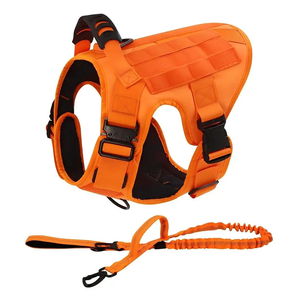 Set Ham Tactic + Lesa No-Pull – Nylon 1000D Militar, Maner, Inel D Dublu, Caini Medii si Mari