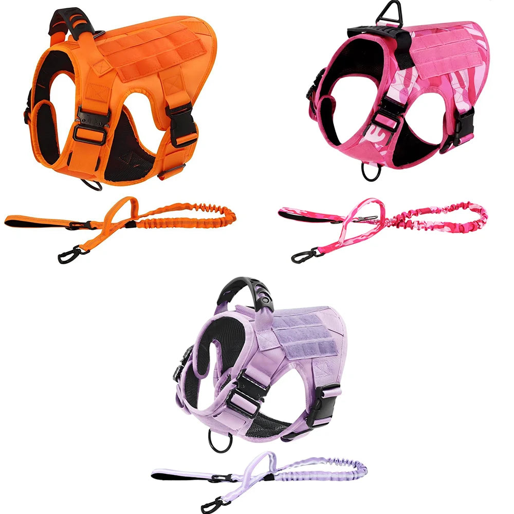Set Ham Tactic + Lesa No-Pull – Nylon 1000D Militar, Maner, Inel D Dublu, Caini Medii si Mari