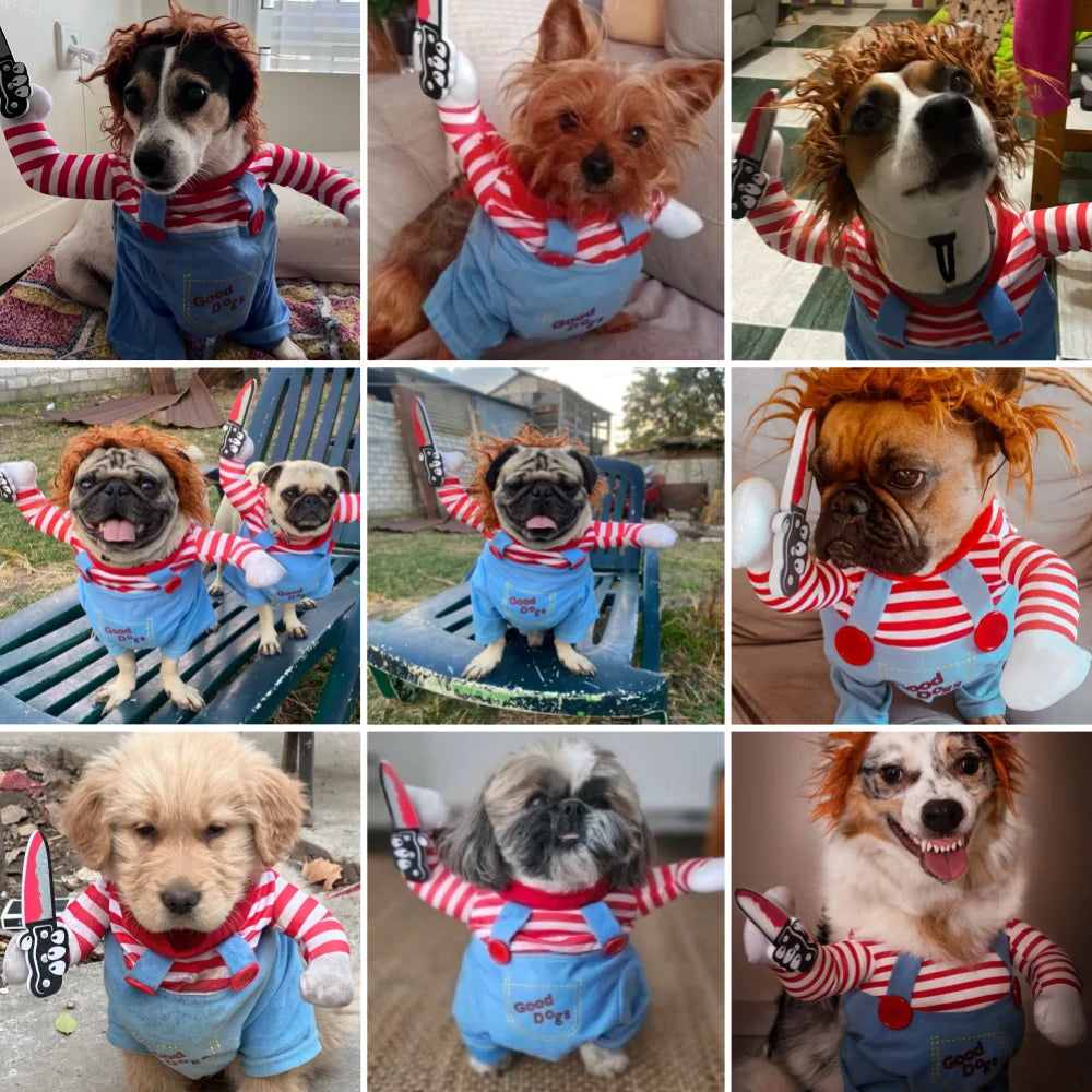 Costum Halloween pentru Câini și Pisici — Pulover Amuzant pentru Rase Mici, Medii și Mari