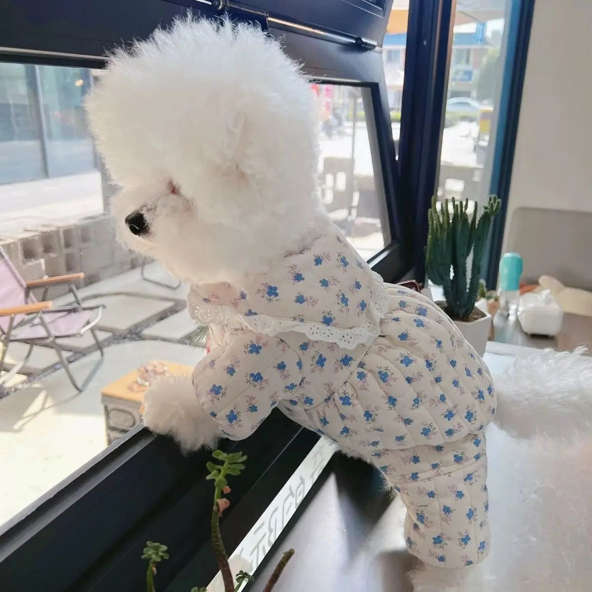 Salopetă florală de iarnă pentru câini și pisici – pijama călduroasă, 4 labe