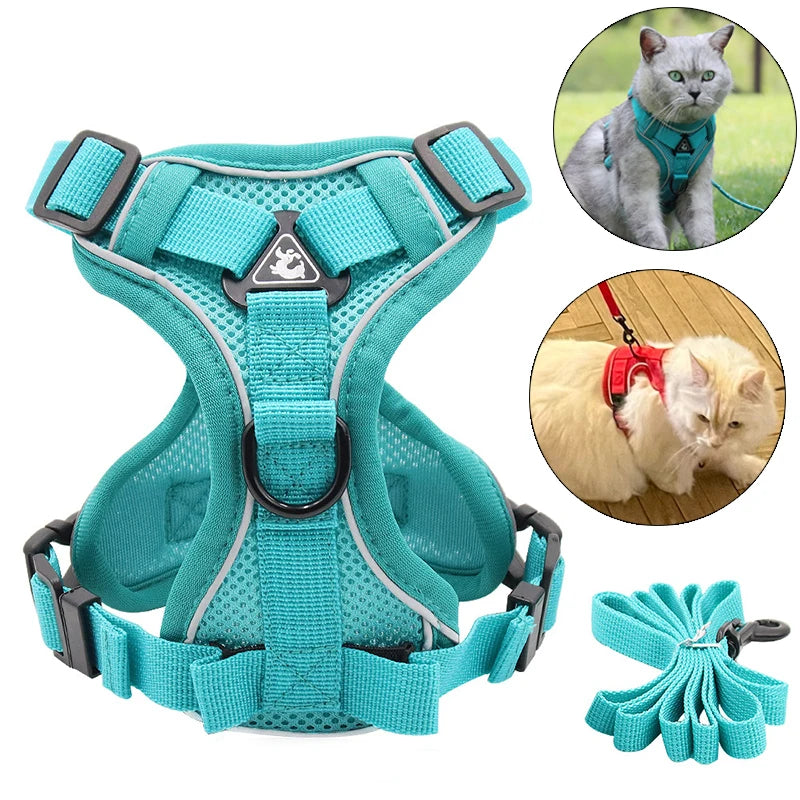 Set Ham + Lesa Reflectorizant Mesh XLeiPet – Respirabil, Pisici si Caini Mici, Primavara/Vara