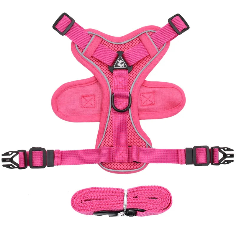 Set Ham + Lesa Reflectorizant Mesh XLeiPet – Respirabil, Pisici si Caini Mici, Primavara/Vara