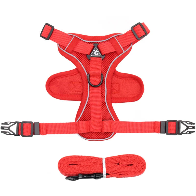 Set Ham + Lesa Reflectorizant Mesh XLeiPet – Respirabil, Pisici si Caini Mici, Primavara/Vara