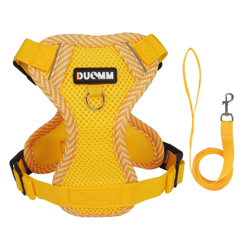 Set Ham + Lesa Reflectorizant Mesh XLeiPet – Respirabil, Pisici si Caini Mici, Primavara/Vara