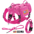 Set Complet Ham + Zgarda + Lesa Tactic Didog – cu Genti si Steaguri, Caini Mari