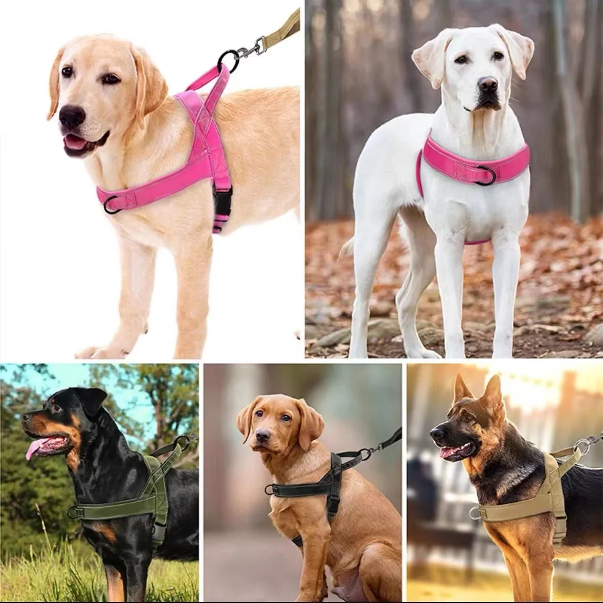 Ham Tactic Anti-Explozie Caini Mari – Vesta cu Maner, Golden Retriever, Nylon Rezistent