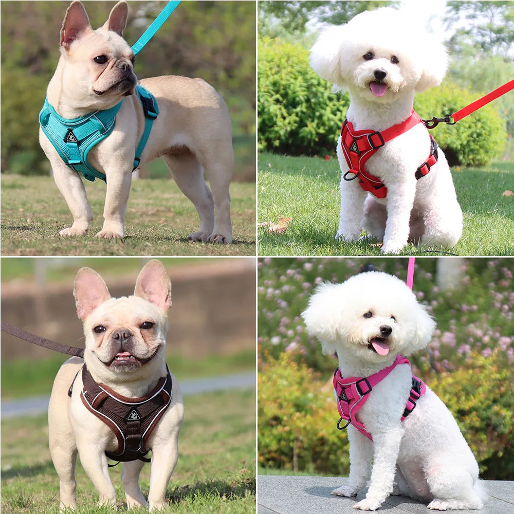 Set ham și lesă pentru câini mici — Bulldog, Pug, Pitbull