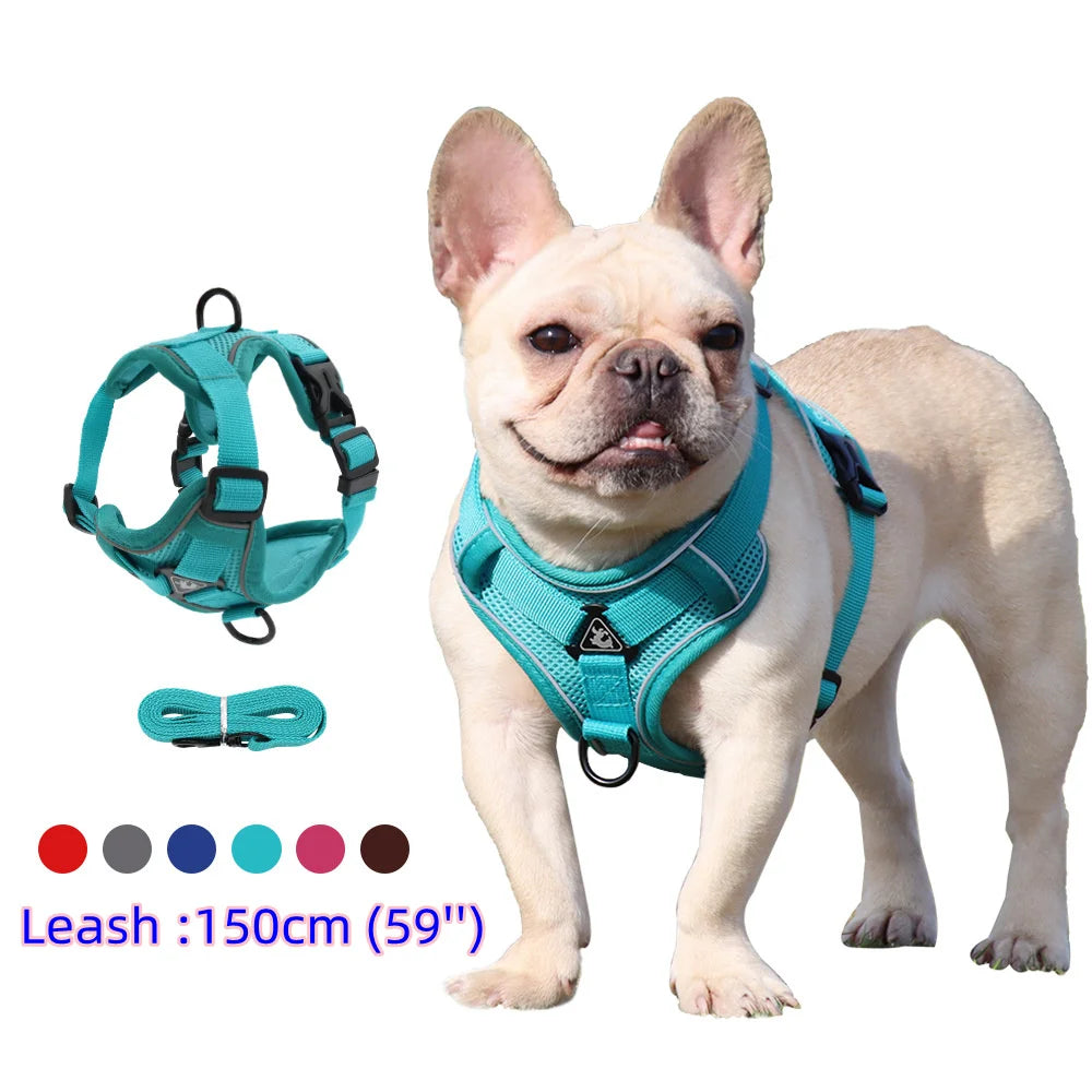 Set ham și lesă pentru câini mici — Bulldog, Pug, Pitbull
