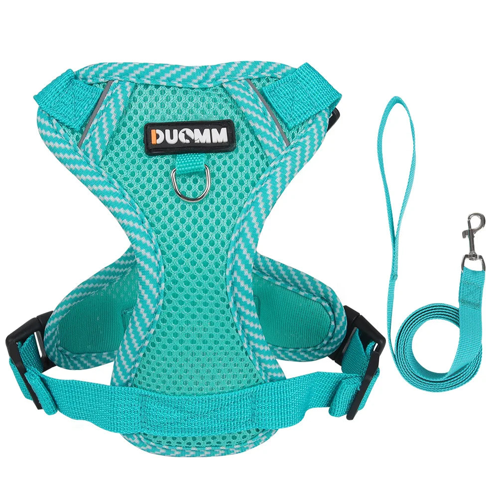 Set Ham + Lesa Reflectorizant Mesh XLeiPet – Respirabil, Pisici si Caini Mici, Primavara/Vara