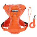 Set Ham + Lesa Reflectorizant Mesh XLeiPet – Respirabil, Pisici si Caini Mici, Primavara/Vara