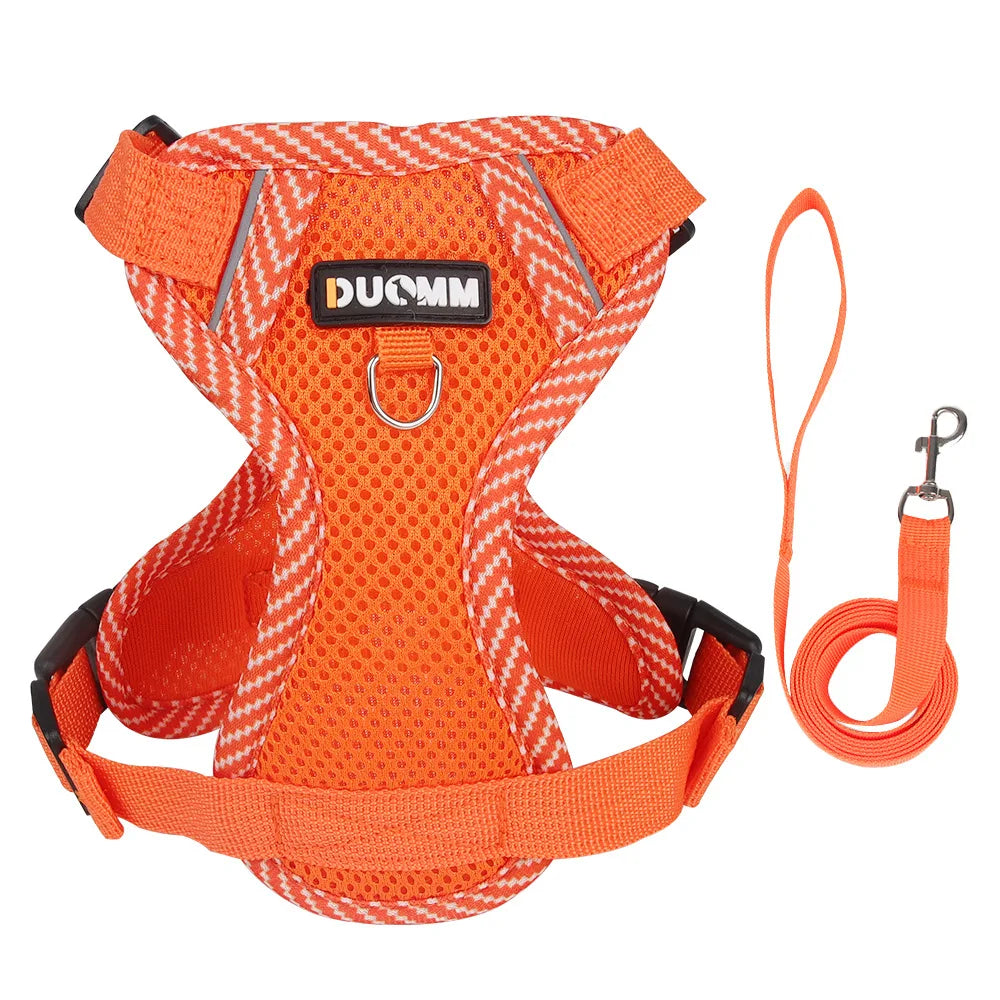 Set Ham + Lesa Reflectorizant Mesh XLeiPet – Respirabil, Pisici si Caini Mici, Primavara/Vara