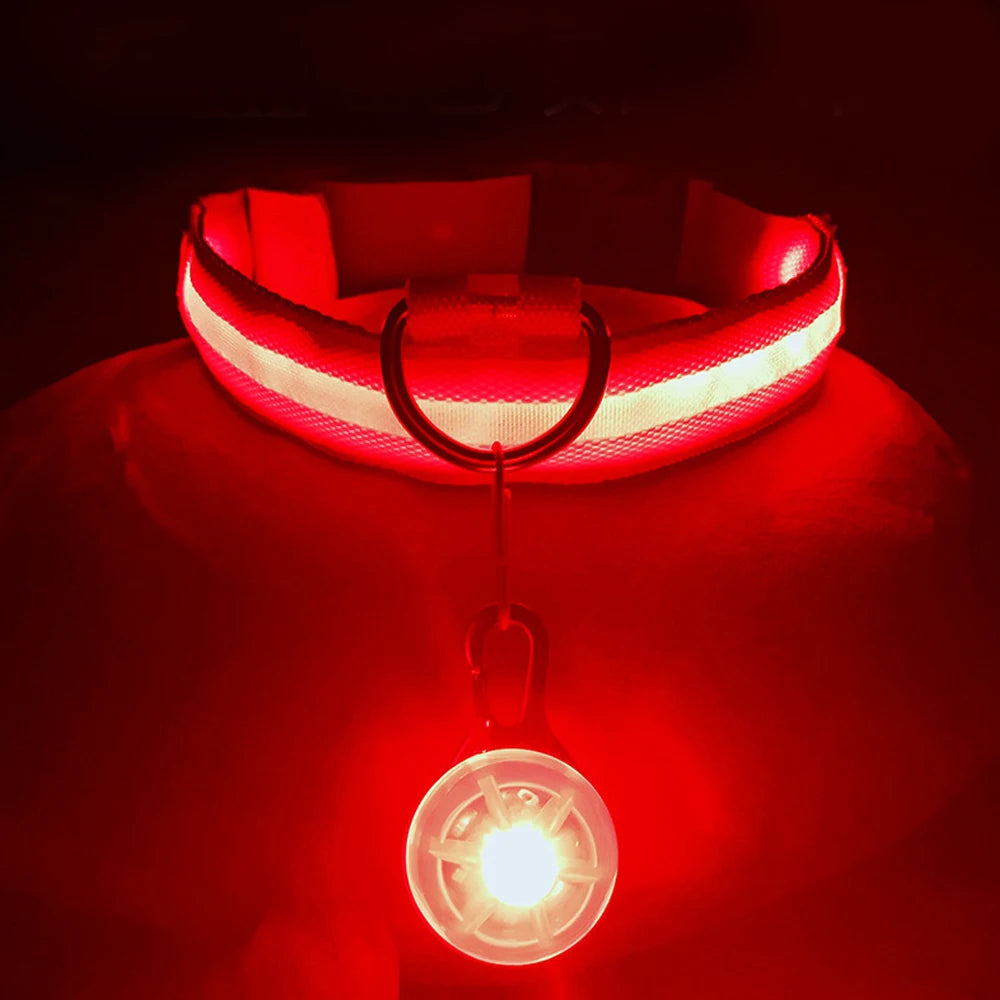 Zgarda luminoasa LED USB reincarcabila caini pisici siguranta noapte COOYOMOO