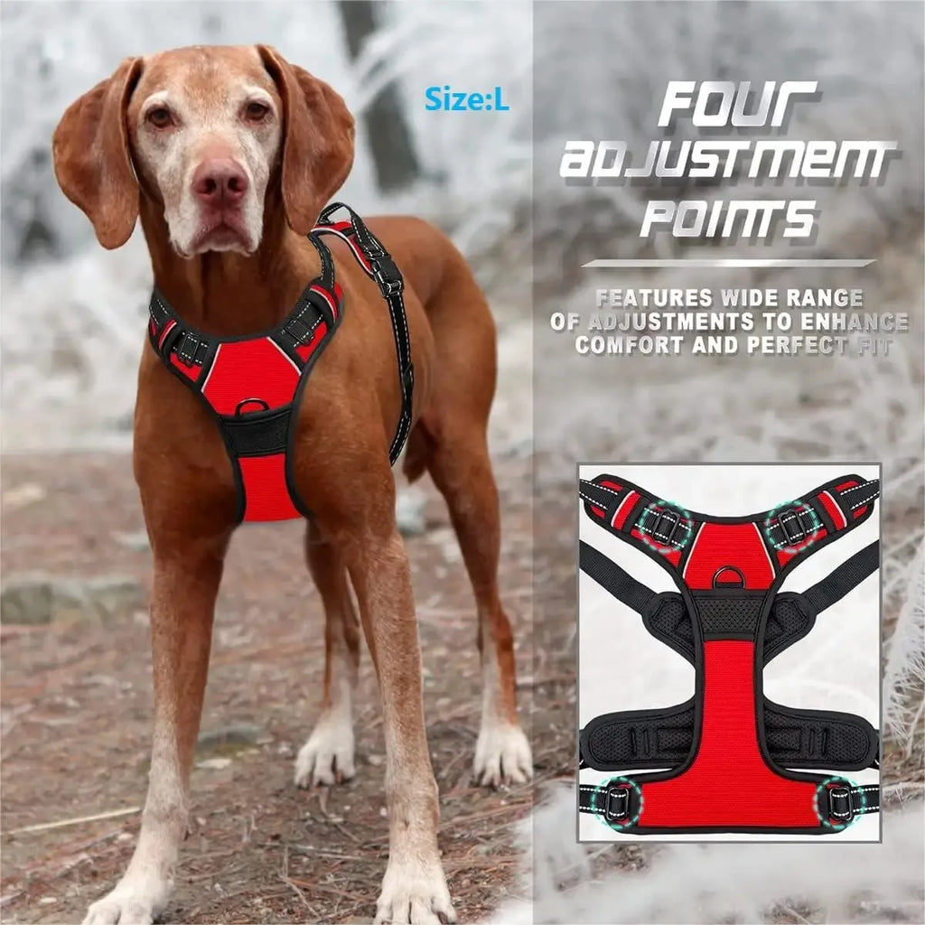 Set Ham Vest + Lesa Piele BeiYu – Accesorii Premium pentru Catei Mici si Medii