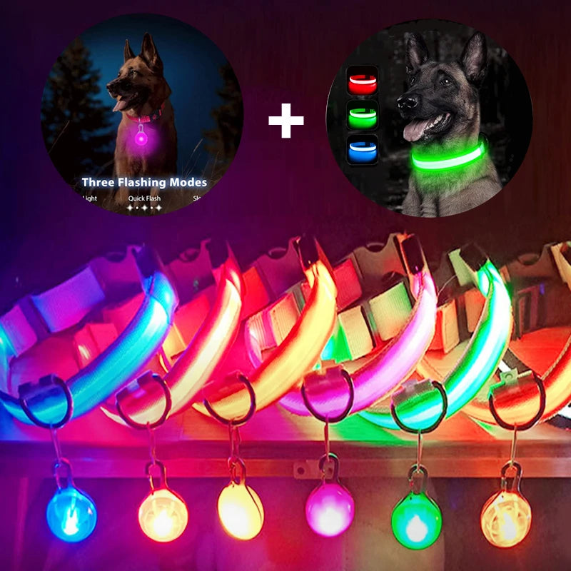 Zgarda luminoasa LED USB reincarcabila caini pisici siguranta noapte COOYOMOO