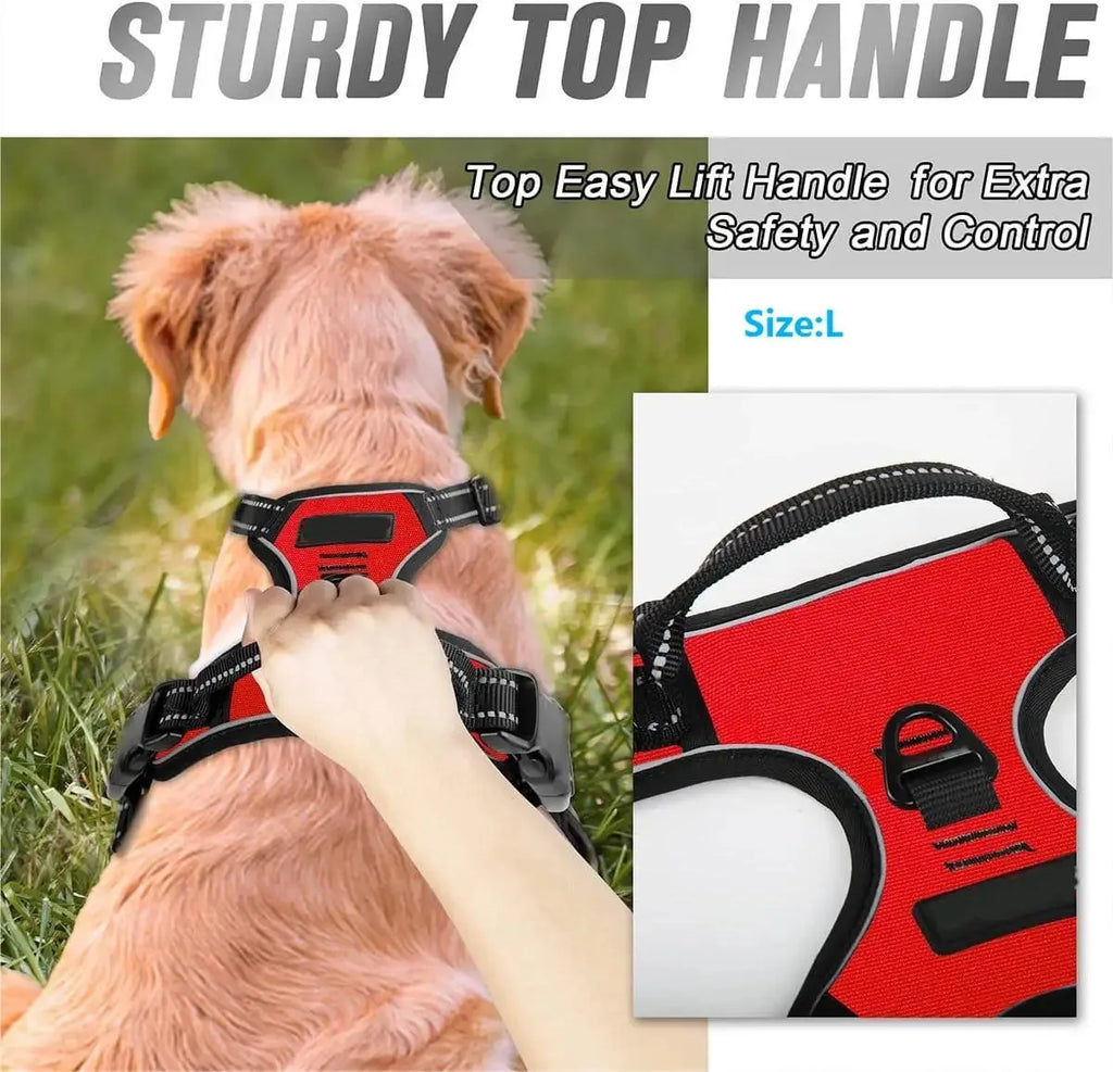 Set Ham Vest + Lesa Piele BeiYu – Accesorii Premium pentru Catei Mici si Medii