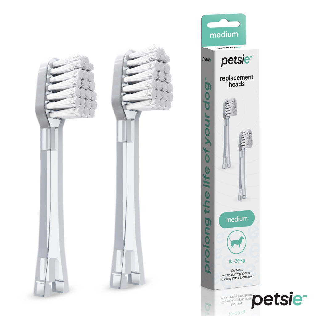 2 capete de schimb pentru periuța de dinți Petsie – mărime M (10-20 kg)